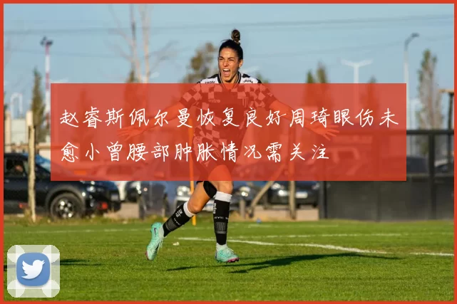 赵睿斯佩尔曼恢复良好周琦眼伤未愈小曾腰部肿胀情况需关注